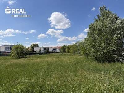 Grundstück kaufen in 7100 Neusiedl