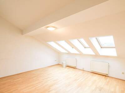 Altbauwohnung mieten in 1090 Wien (Bild 1)