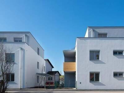 Wohnung mieten in 3202 Hofstetten