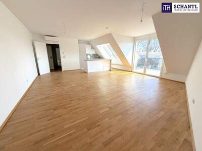Terrassenwohnung kaufen in 1220 Wien (Bild 2)