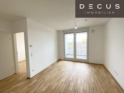 Terrassenwohnung mieten in 1220 Wien (Bild 3)