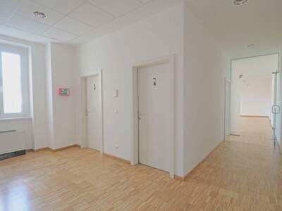 Gewerbeobjekt mieten in 1090 Wien (Bild 4)