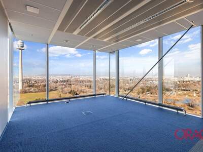 Gewerbeobjekt mieten in 1220 Wien (Bild 3)