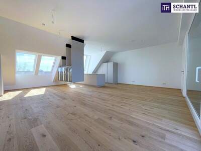 Terrassenwohnung kaufen in 1210 Wien (Bild 4)