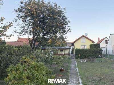Einfamilienhaus kaufen in 2054 Haugsdorf (Bild 2)