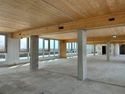 Gewerbeobjekt mieten in 2351 Wiener Neudorf (Bild 3)