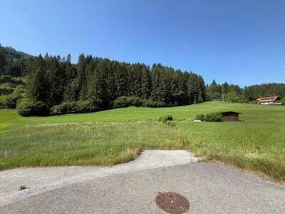 Grundstück kaufen in 9542 Afritz