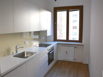 Wohnung mieten in 1010 Wien