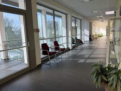 Gewerbeobjekt mieten in 8073 Feldkirchen (Bild 2)