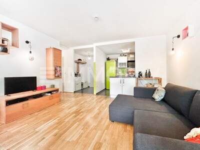 Terrassenwohnung kaufen in 1100 Wien (Bild 3)