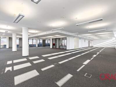 Gewerbeobjekt mieten in 1200 Wien (Bild 4)