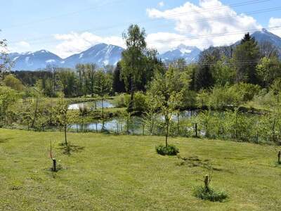 Gewerbeobjekt kaufen in 9072 Ludmannsdorf