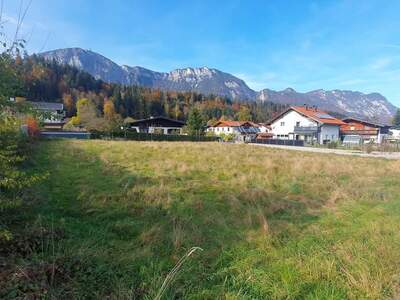 Grundstück kaufen in 6321 Angath