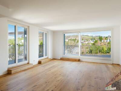 Terrassenwohnung kaufen in 1190 Wien (Bild 1)