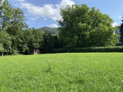 Wohnung mit Balkon kaufen in 4560 Kirchdorf (Bild 5)