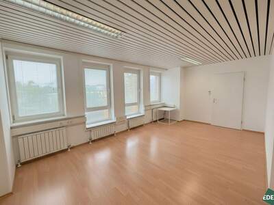 Gewerbeobjekt mieten in 1110 Wien (Bild 1)