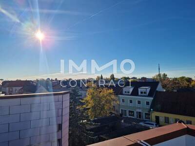 Anlageobjekt kaufen in 2514 Traiskirchen (Bild 4)