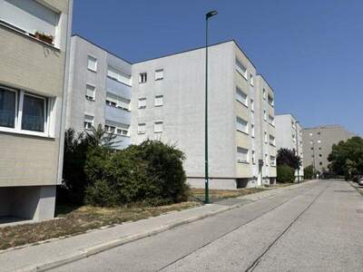 Terrassenwohnung kaufen in 2351 Wr. Neudorf (Bild 3)