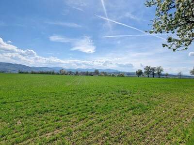 Haus kaufen in 4400 Steyr