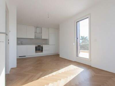 Terrassenwohnung kaufen in 1220 Wien (Bild 4)