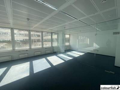 Gewerbeobjekt mieten in 1020 Wien (Bild 5)