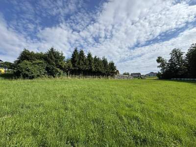 Grundstück kaufen in 8113 Sankt Oswald