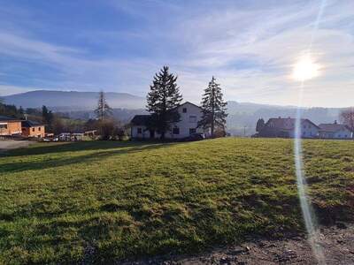 Grundstück kaufen in 4441 Behamberg (Bild 4)