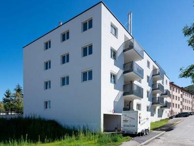 Wohnung mieten in 2410 Hainburg (Bild 3)
