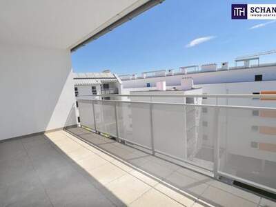 Wohnung mieten in 2320 Schwechat