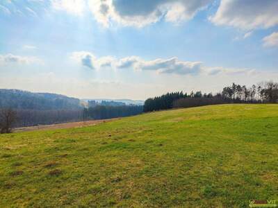 Grundstück kaufen in 7551 Stegersbach