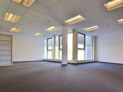 Gewerbeobjekt mieten in 4020 Linz (Bild 4)