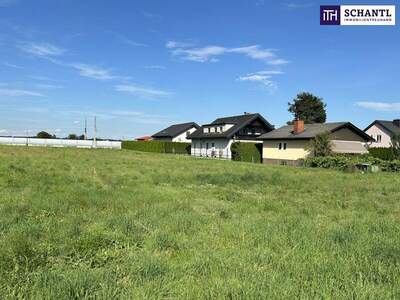 Grundstück kaufen in 8430 Leibnitz (Bild 2)