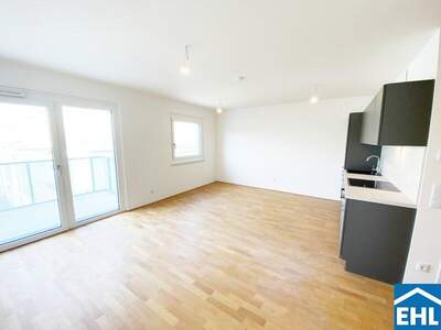 Terrassenwohnung mieten in 1110 Wien (Bild 1)