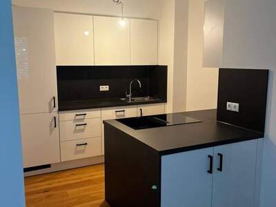 Wohnung provisionsfrei mieten in 8045 Graz