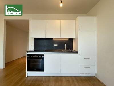 Terrassenwohnung mieten in 1100 Wien (Bild 3)