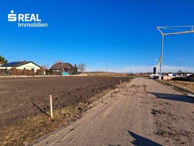 Grundstück kaufen in 2332 Hennersdorf (Bild 3)