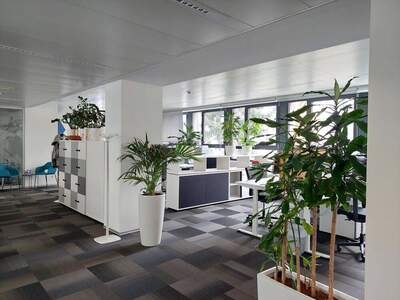 Gewerbeobjekt mieten in 8020 Graz