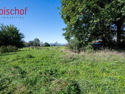 Grundstück kaufen in 6845 Hohenems