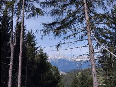 Mietwohnung provisionsfrei in 6141 Schönberg