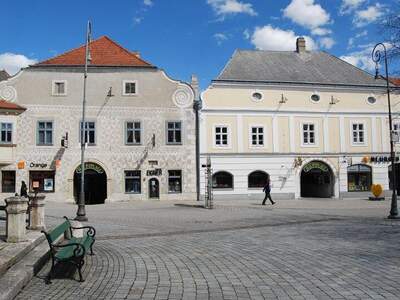 Wohnung mieten in 2620 Neunkirchen (Bild 1)