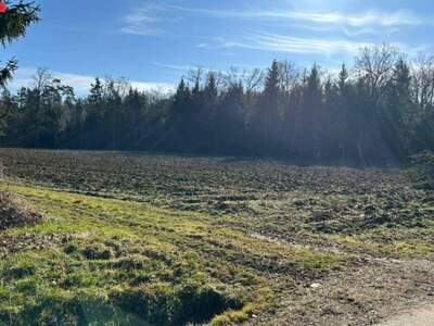 Grundstück kaufen in 8423 Rabenhof