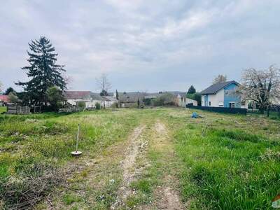 Grundstück kaufen in 2111 2111 Harmannsdorf