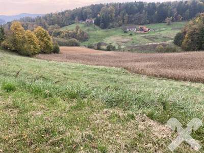 Gewerbeobjekt kaufen in 8332 Edelsbach