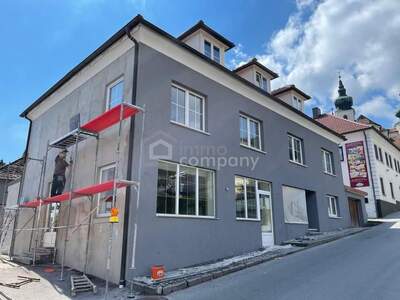 Haus kaufen in 3661 Artstetten