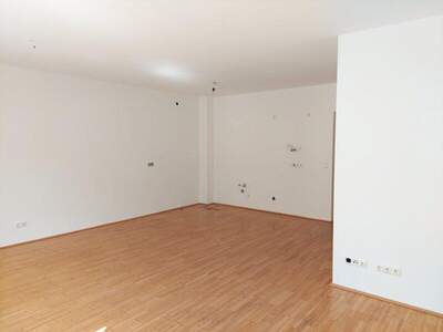 Terrassenwohnung mieten in 3211 Loich (Bild 5)