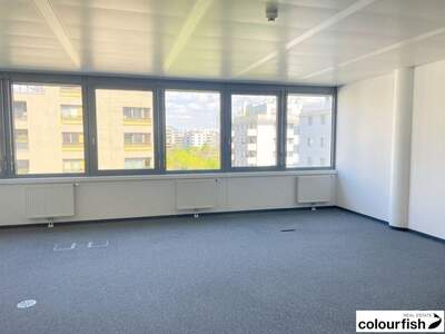 Gewerbeobjekt mieten in 1020 Wien (Bild 5)