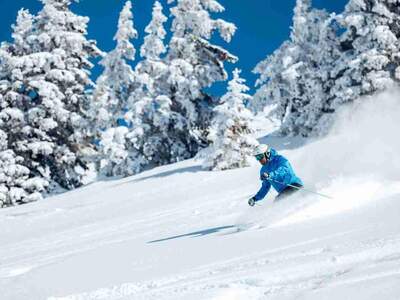 Grundstück kaufen in 8864 Turracherhöhe (Bild 2)