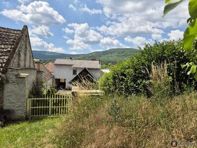 Haus kaufen in 7443 Liebing