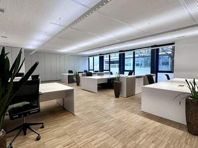 Gewerbeobjekt mieten in 4040 Linz (Bild 2)