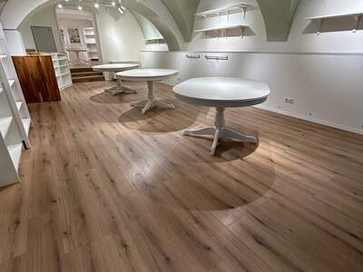 Gewerbeobjekt mieten in 4070 Eferding (Bild 2)